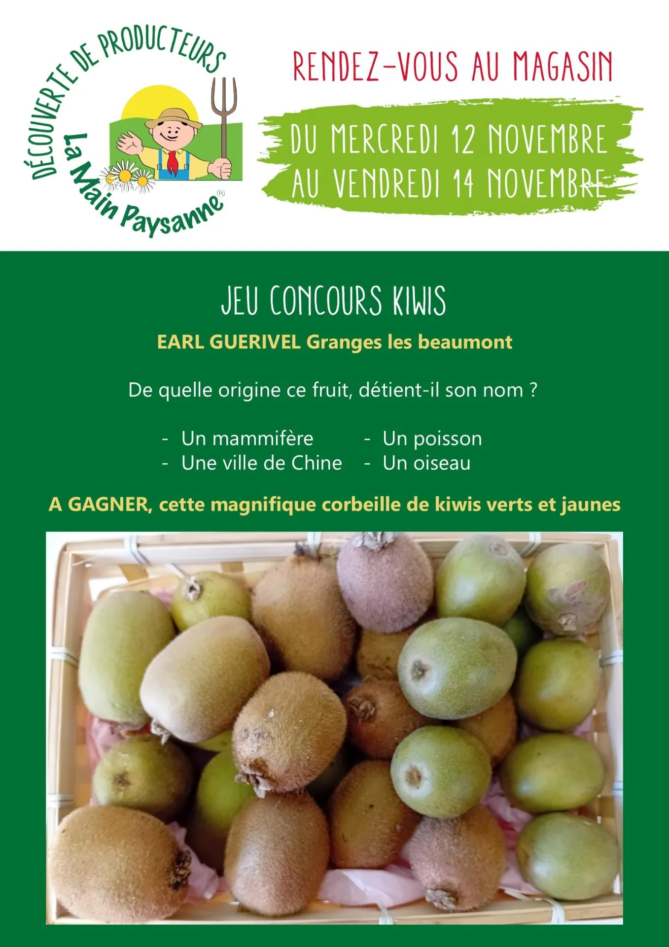 Affiche kiwi jeu